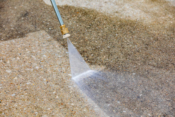 Best Animal Enclosure Cleaning  in Lindsay, TX